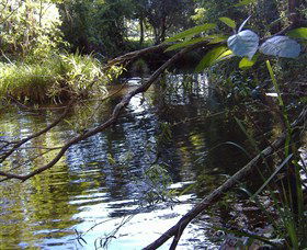 Mary Anns Cottage - Sunshine Coast Tourism 1