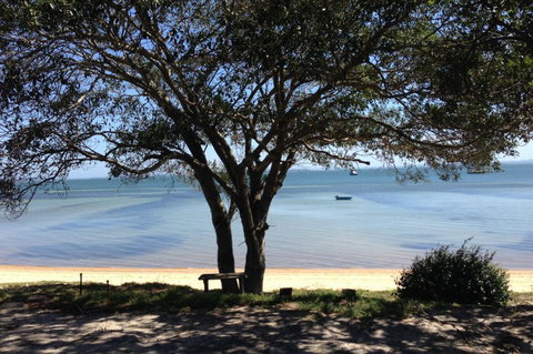 Adams Beach Camping Ground - Sunshine Coast Tourism 0