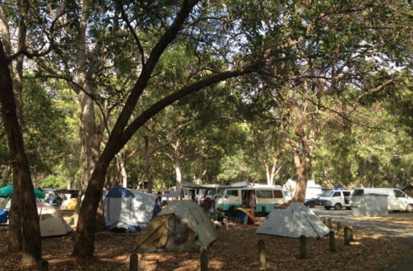 Point Lookout QLD Sunshine Coast Tourism