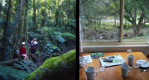 Mt Warning Rainforest Park - Sunshine Coast Tourism 17