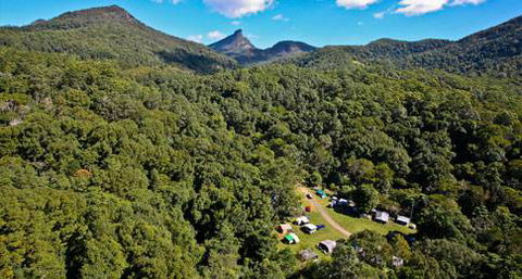 Mt Warning Rainforest Park - Sunshine Coast Tourism 18