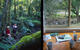 Mt Warning Rainforest Park - thumb 12