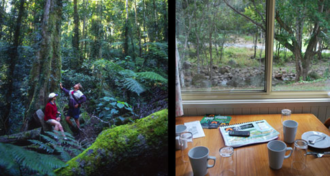 Mt Warning Rainforest Park - Sunshine Coast Tourism 12