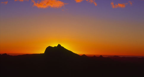 Mt Warning Rainforest Park - Sunshine Coast Tourism 14