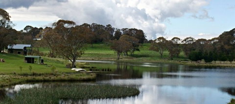 Lochlorian Trout Fishing And Getaway - Holiday Sunshine Coast 1