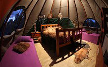 Aranyani Bison Adventure Tourist Park - Holiday Sunshine Coast 0