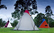 Aranyani Bison Adventure Tourist Park - Holiday Sunshine Coast 1