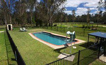 Aranyani Bison Adventure Tourist Park - Holiday Sunshine Coast 4