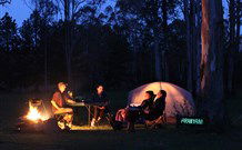 Aranyani Bison Adventure Tourist Park - Holiday Sunshine Coast 2