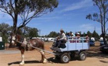Ariah Park NSW Holiday Sunshine Coast