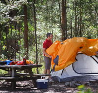 Bald Rock campground and picnic area - Sunshine Coast Tourism