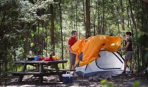 Bald Rock Campground And Picnic Area - Sunshine Coast Tourism 0