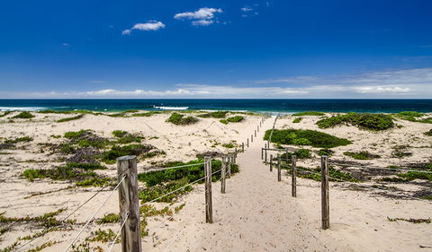 Banksia Green Campground - Holiday Sunshine Coast 1