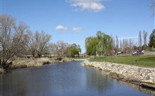 Barbour Park Rest Area - Sunshine Coast Tourism 0