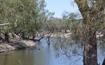 Weilmoringle NSW Sunshine Coast Tourism