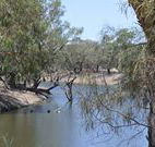 Beds on the Barwon - Sunshine Coast Tourism