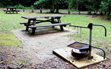 Bellbird Campground - Sunshine Coast Tourism 0