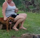 Billabourie Riverside Tourist Park - Sunshine Coast Tourism