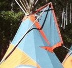 Central Coast Eco Tours - Sunshine Coast Tourism