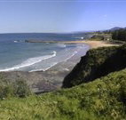 Coledale Beach Camping Reserve - Holiday Sunshine Coast