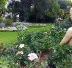 Corynnia Station - Holiday Sunshine Coast