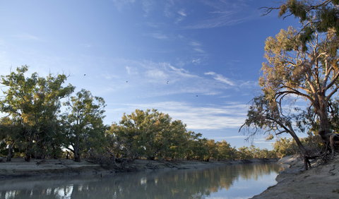 Darling River Campground - Sunshine Coast Tourism 0