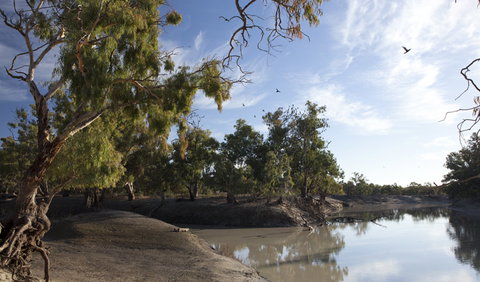 Darling River Campground - Sunshine Coast Tourism 1
