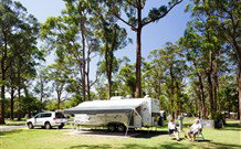 Darlington Beach NRMA Holiday Park - Sunshine Coast Tourism 6