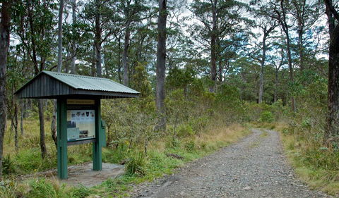 Devils Hole Campground And Picnic Area - Sunshine Coast Tourism 1