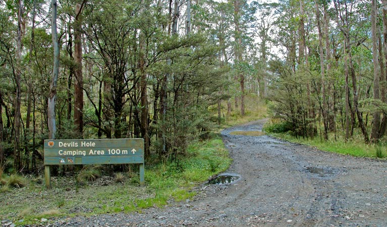 Barrington Tops NSW Sunshine Coast Tourism