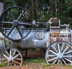 Dingo Tops campground - Sunshine Coast Tourism