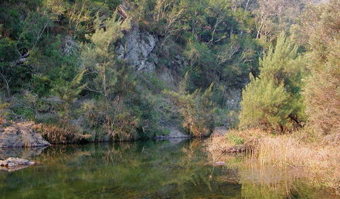 Doon Goonge Campground - Sunshine Coast Tourism 1