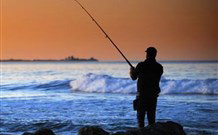 Eden Gateway Holiday Park - Holiday Sunshine Coast 1