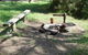 Farquhar Park Camping Ground - thumb 1