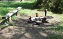 Farquhar Park Camping Ground - Sunshine Coast Tourism 1