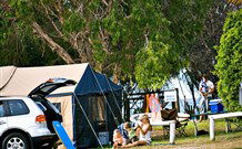 Fingal Holiday Park - Sunshine Coast Tourism 1