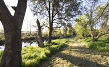 Fossickers Tourist Park - Holiday Sunshine Coast 5