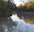 Four Mile Camping Reserve - Sunshine Coast Tourism