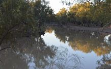 Four Mile Camping Reserve - Sunshine Coast Tourism 0