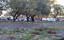 Four Mile Camping Reserve - Sunshine Coast Tourism 1