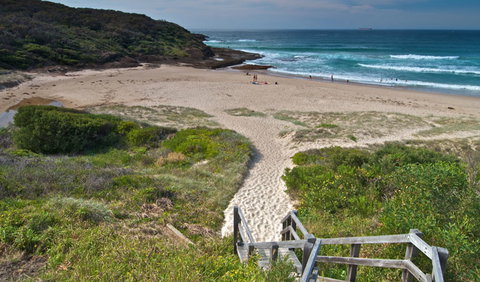 Frazer Campground - Sunshine Coast Tourism 2