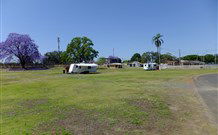 Grafton Showground Caravan Park - Sunshine Coast Tourism 0