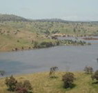 Hume Park Tourist Resort - Sunshine Coast Tourism