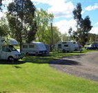 Junee Tourist Park - Sunshine Coast Tourism
