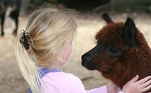 Kangaroo Valley Glenmack Park - Sunshine Coast Tourism 1