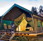 Kingscliff North Holiday Park - Sunshine Coast Tourism