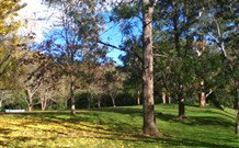 Knorrit Flat Riverside Retreat - Holiday Sunshine Coast 3