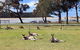Lake Conjola Entrance Holiday Park - thumb 2