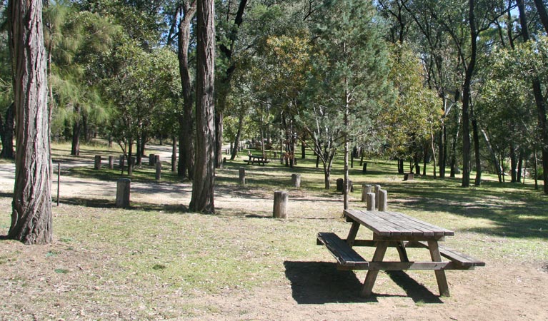 Atholwood NSW Holiday Sunshine Coast