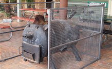 Lightning Ridge Outback Resort And Caravan Park - Holiday Sunshine Coast 7